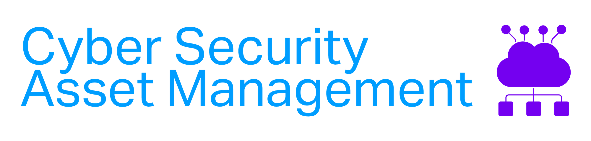 Cyber Security Asset Management