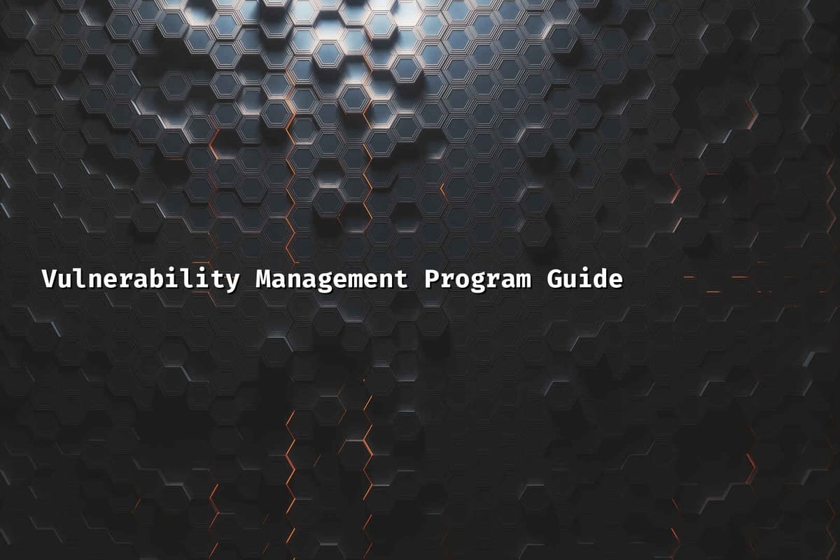 Vulnerability Management Program Guide